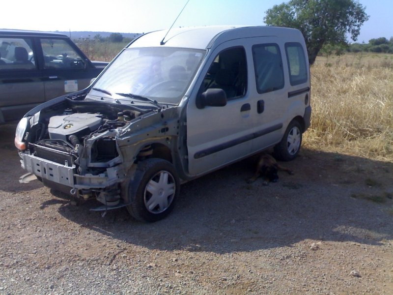 Cherokee's Kangoo Vorher