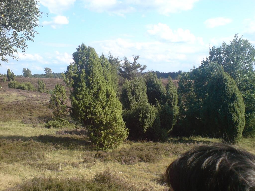 Treffen2009